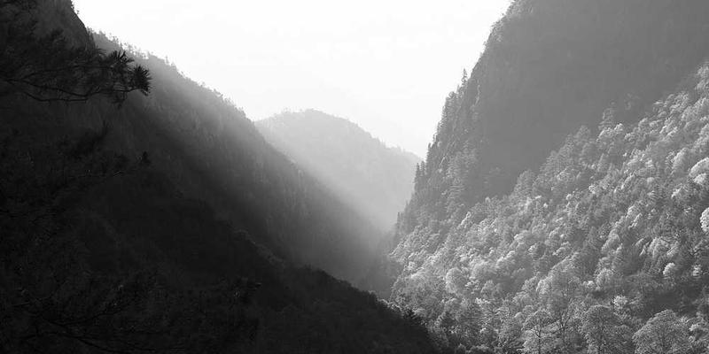 《盛夏无声》